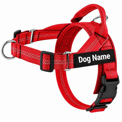 Personalised Lightweight Dog Harness with Name Patch
