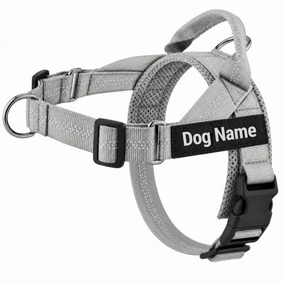 Personalised Lightweight Dog Harness with Name Patch