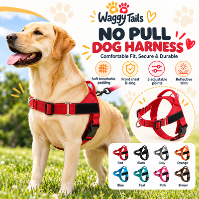Personalised Lightweight Dog Harness with Name Patch