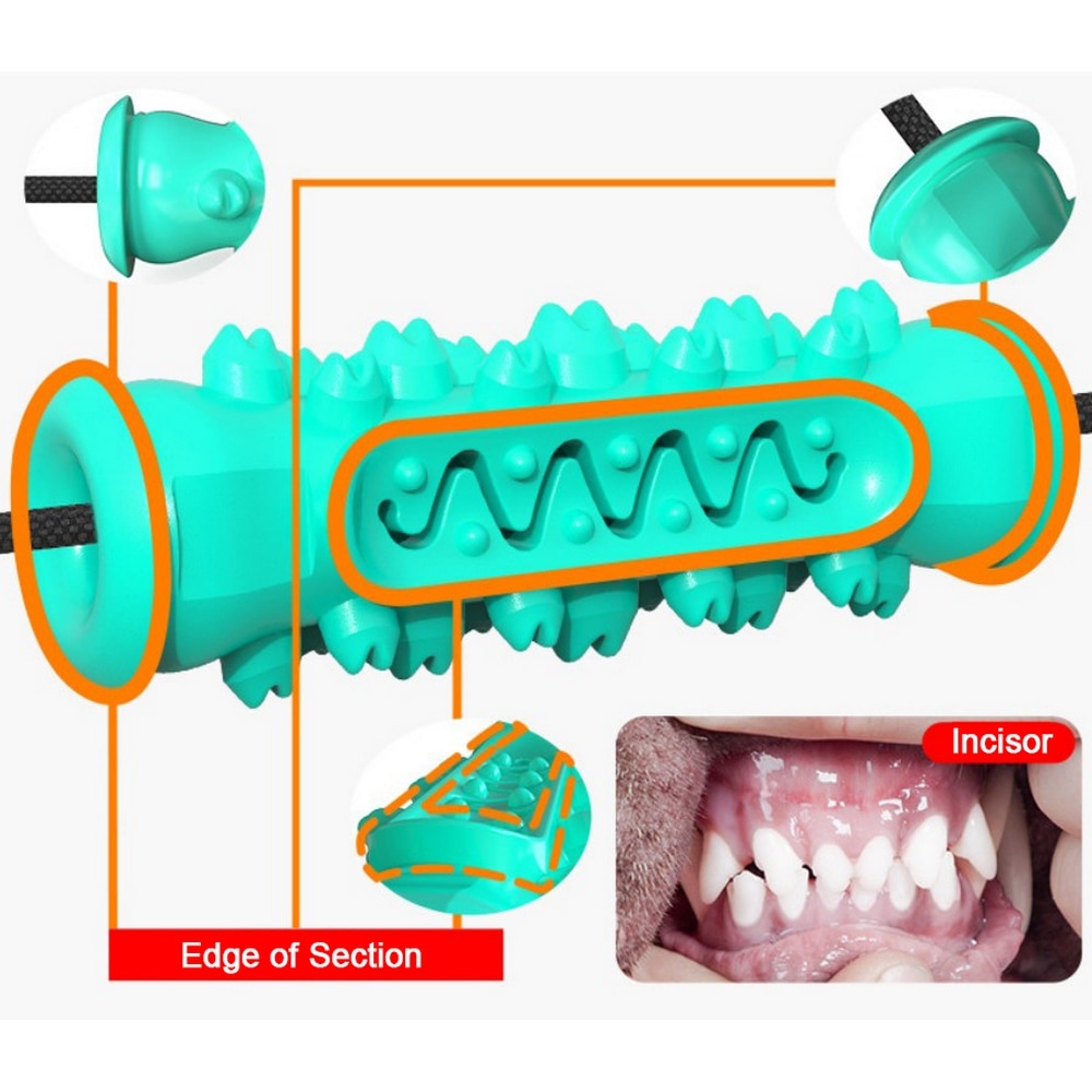 Molar Convex Dog Chew Toy for Effective Training and Tooth Cleaning