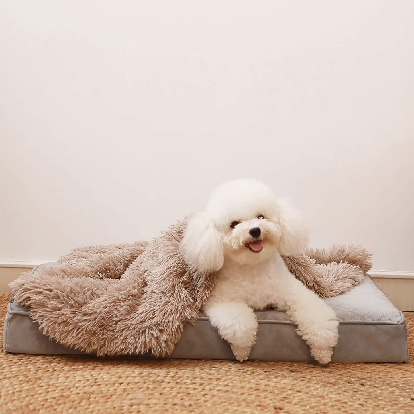 Cosy Calming Dog Blanket - Waggy Tails