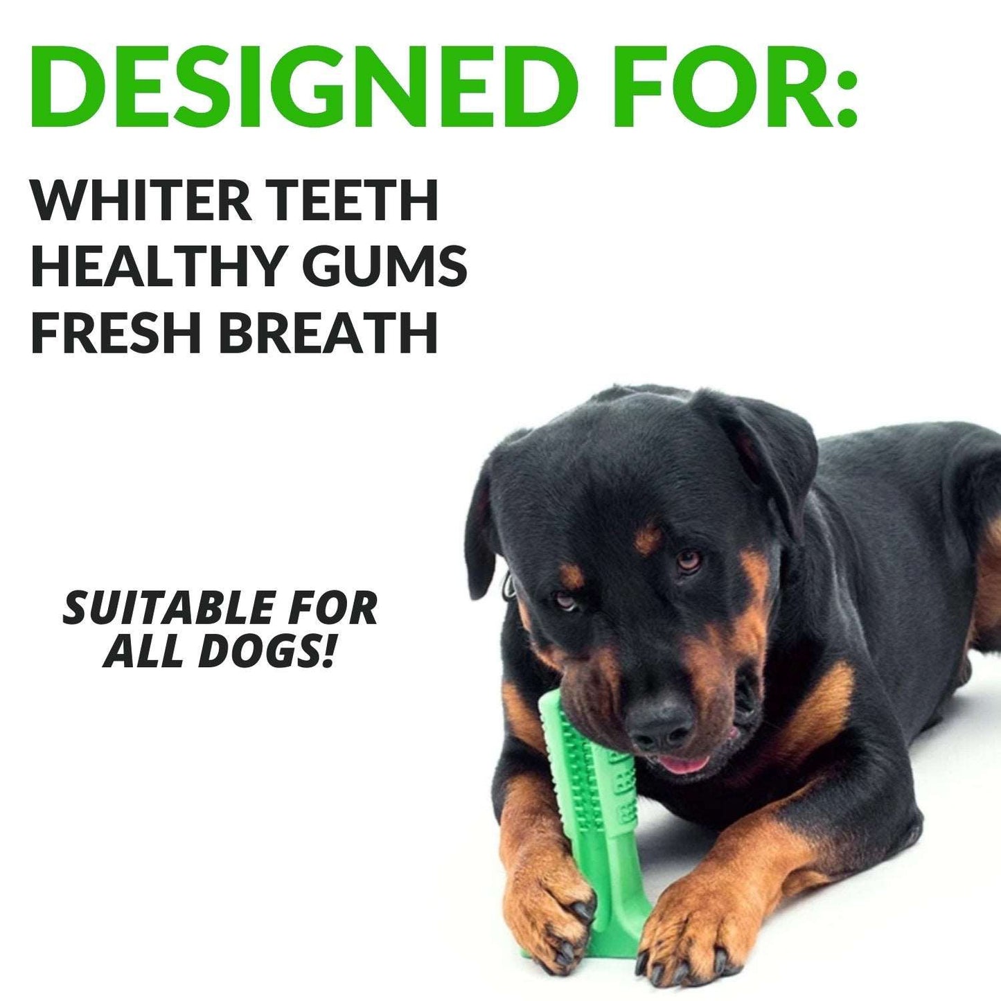 Dog Chew Brush - Waggy Tails