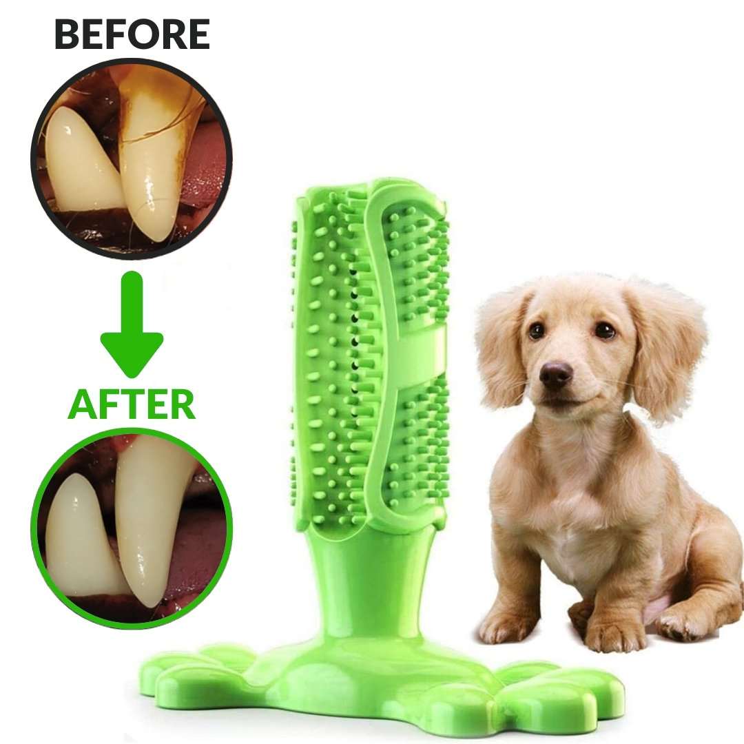 Dog dental brush best sale