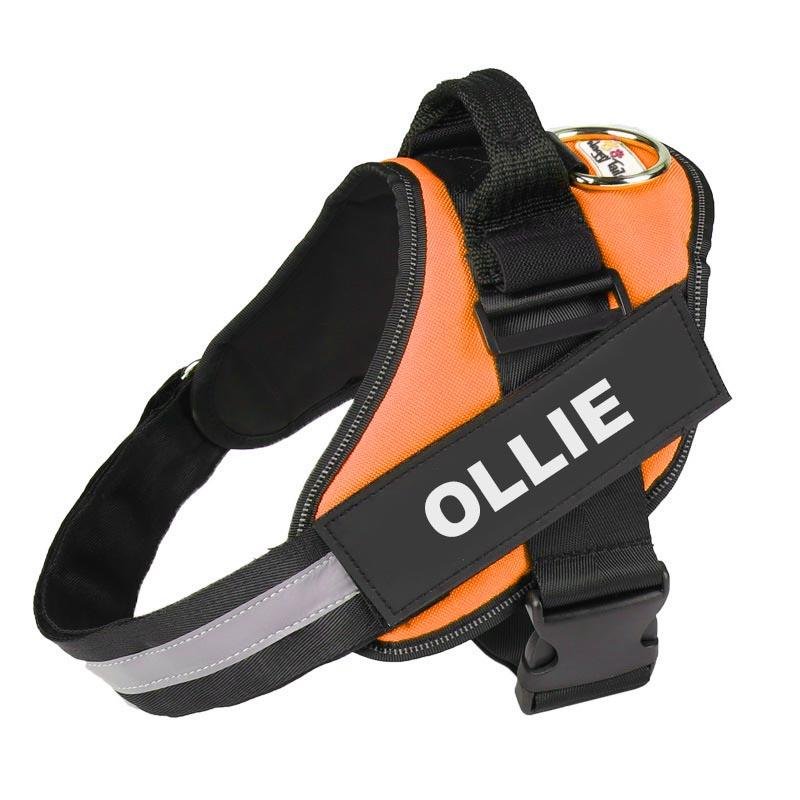 Dog harness with name on it best sale