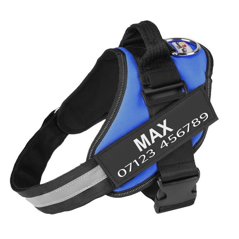 Personalised No Pull Dog Harness in XS / Blue