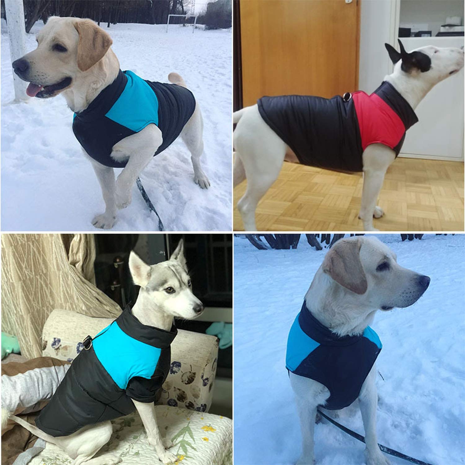 Warm Rainproof Dog Coat